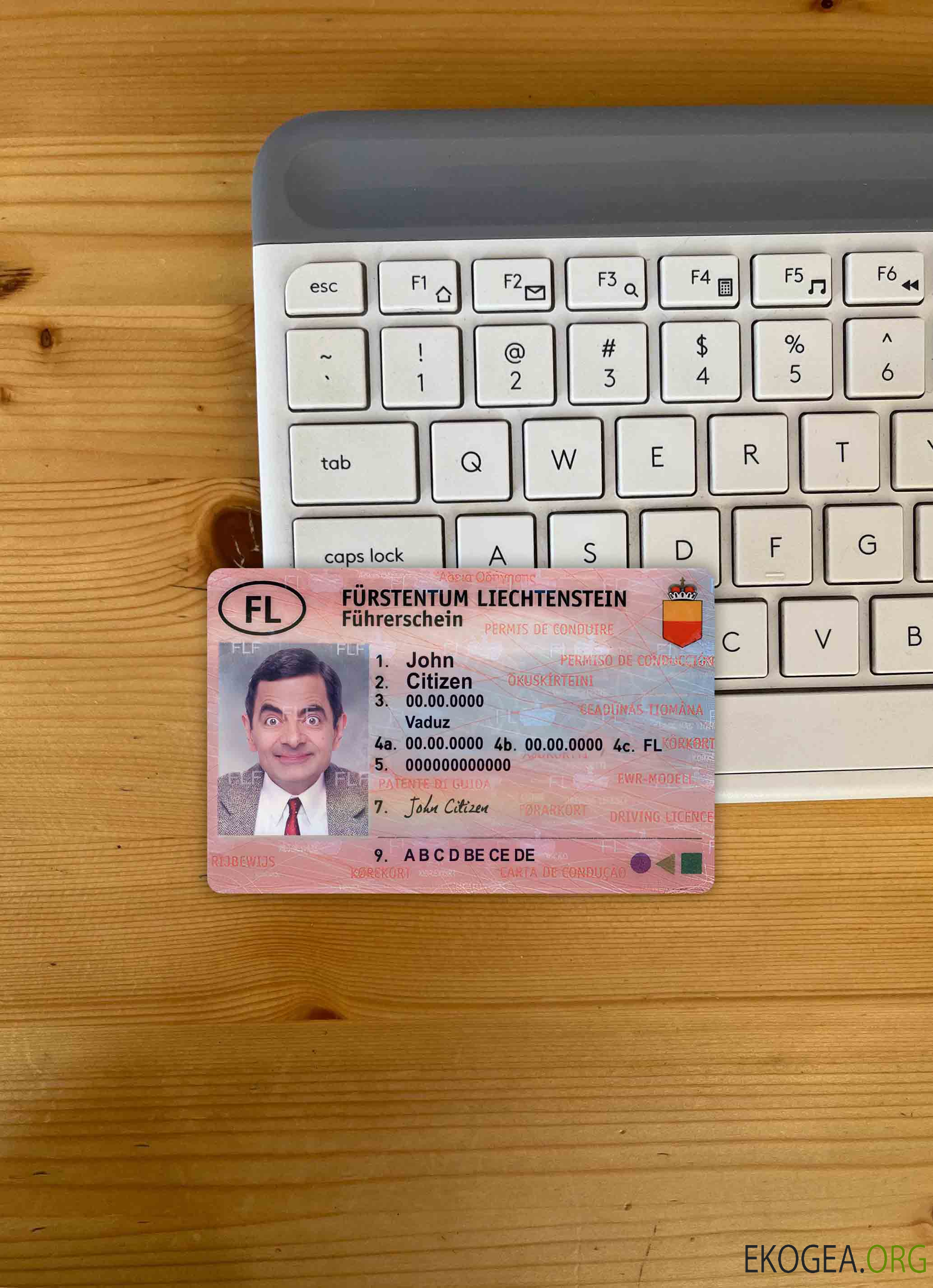 Photolook du permis de conduire du Liechtenstein DEVANT